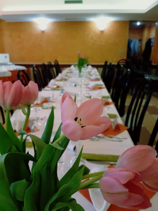 Albergo Ristorante Il Delfino Novara Eksteriør bilde